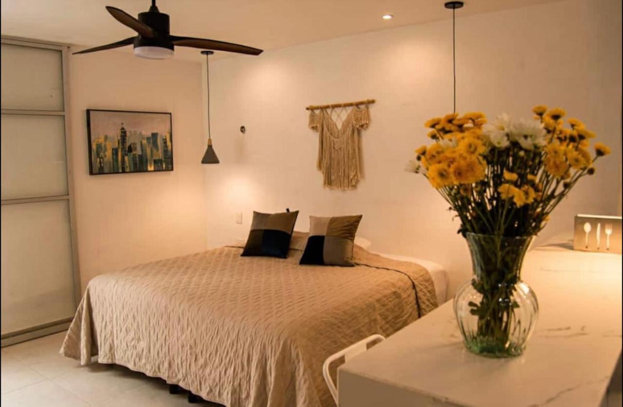 Mid-498 Centro Apartment Merida Bagian luar foto