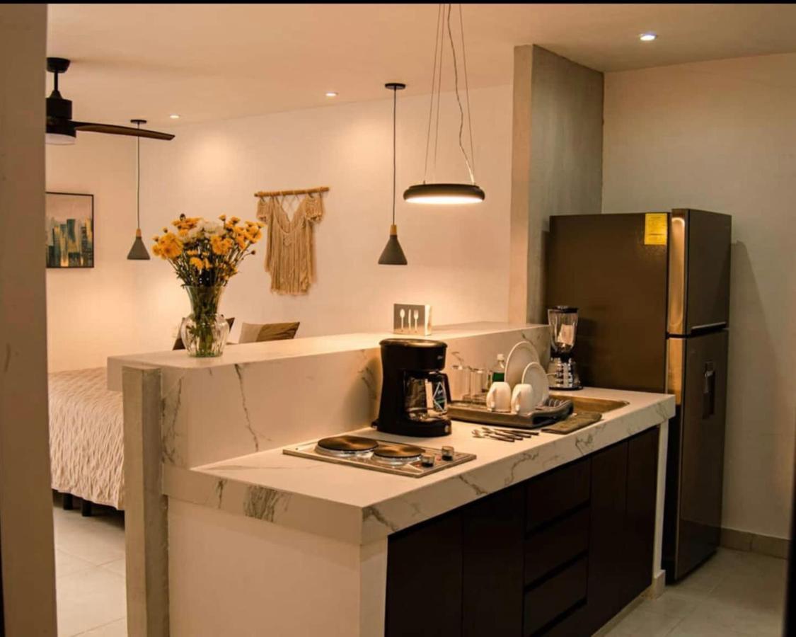 Mid-498 Centro Apartment Merida Bagian luar foto