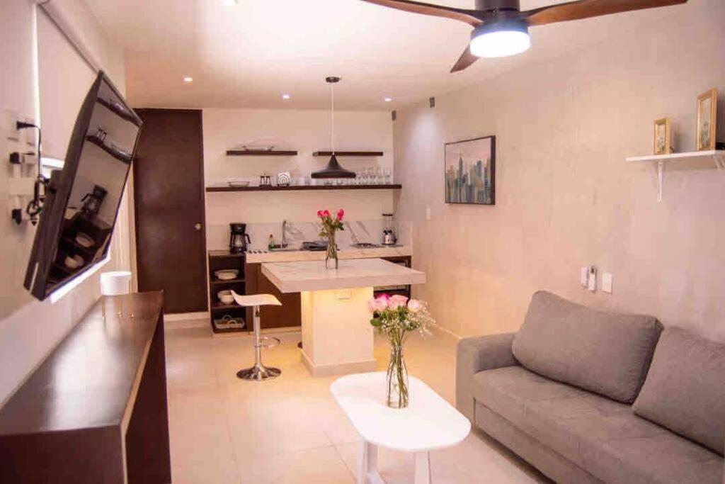 Mid-498 Centro Apartment Merida Bagian luar foto