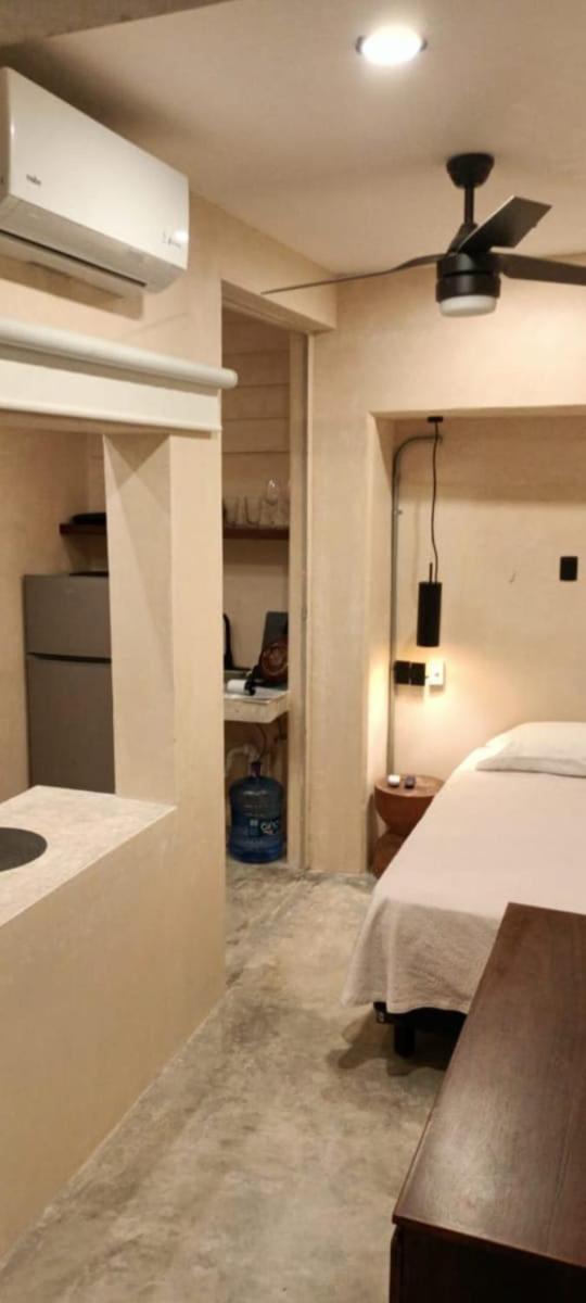 Mid-498 Centro Apartment Merida Bagian luar foto